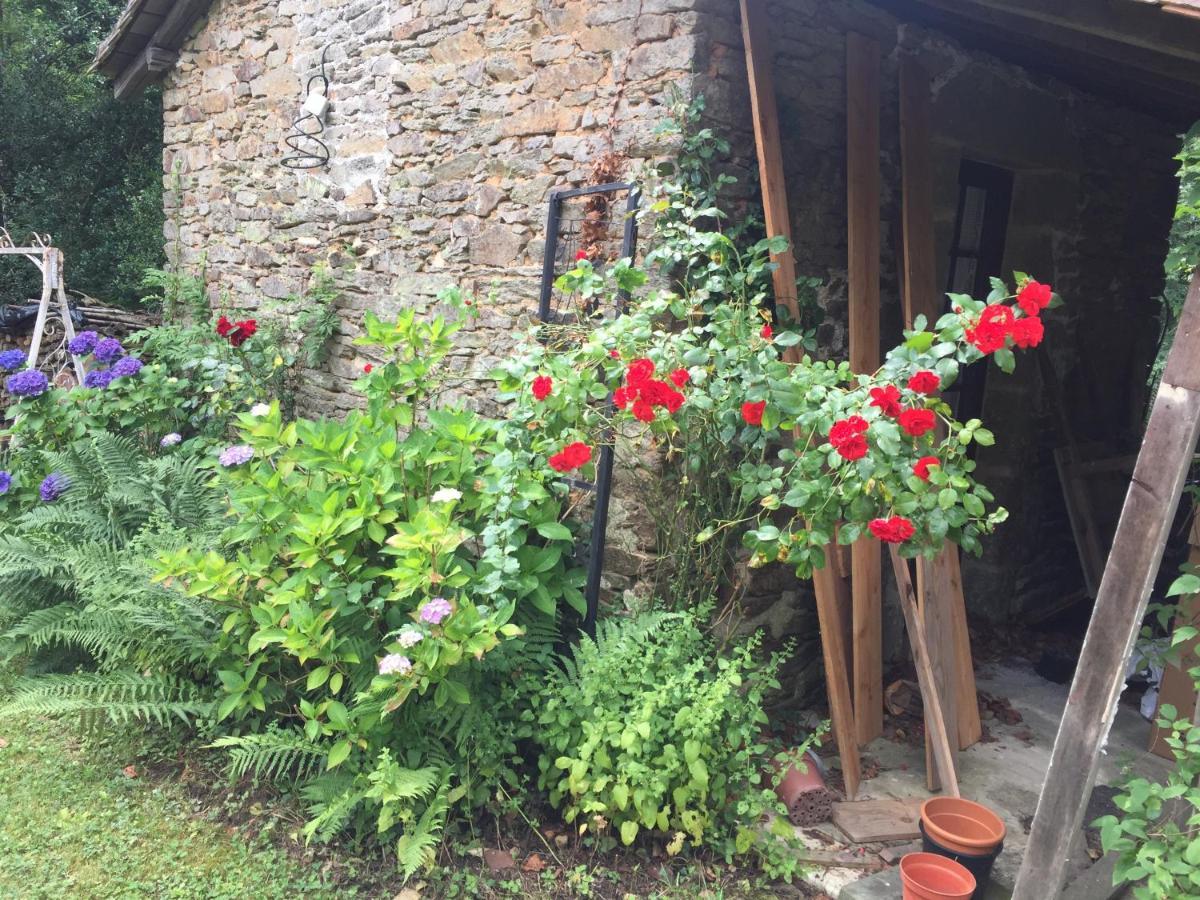 No 6 Bed and Breakfast Dournazac Exteriör bild